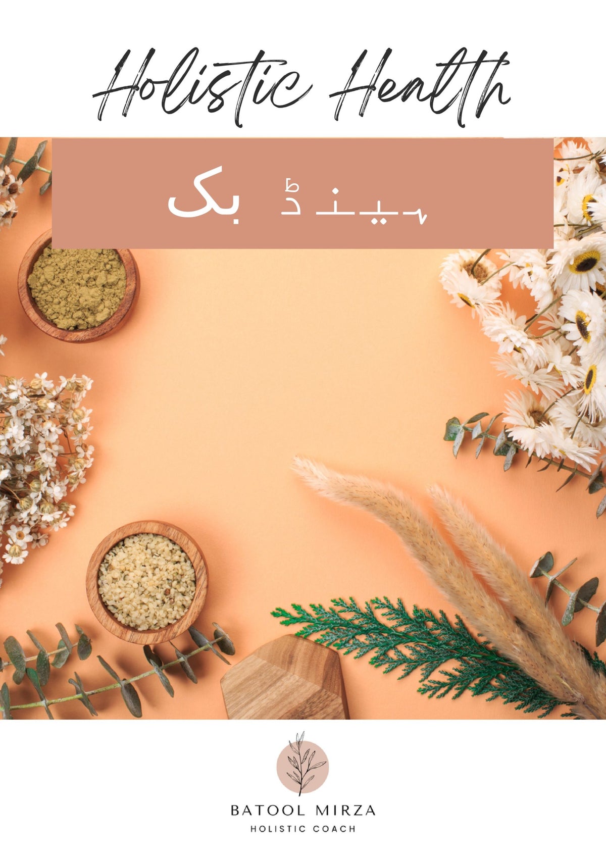 Holistic Health Handbook – Urdu